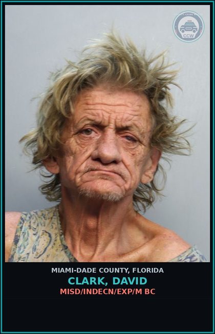 CCW arrest card for CLARK, DAVID in Miami-Dade County: MISD/INDECN/EXP/M BC