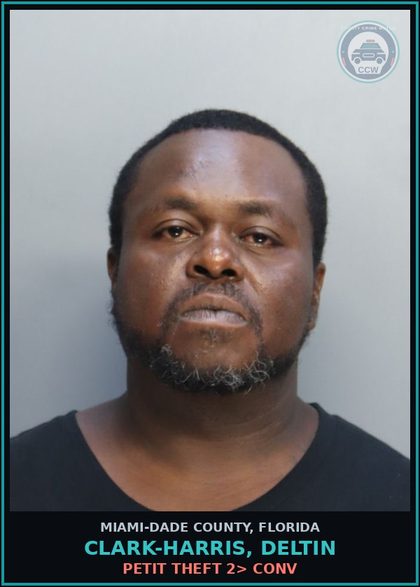 CCW arrest card for CLARK-HARRIS, DELTIN in Miami-Dade County: PETIT THEFT 2> CONV