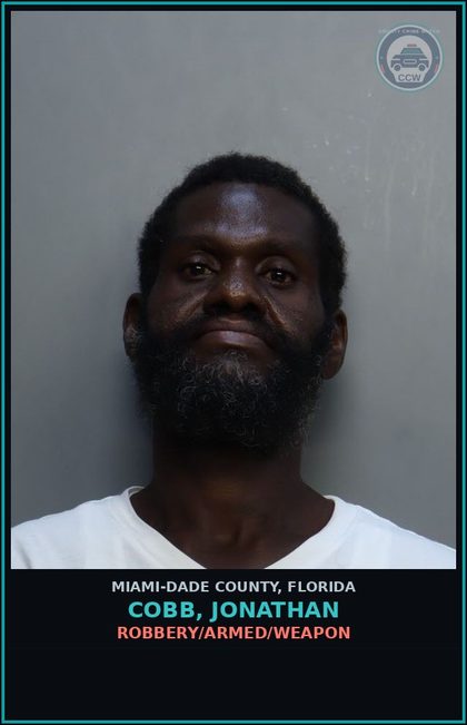 CCW arrest card for COBB, JONATHAN in Miami-Dade County: PETIT THEFT 2> CONV