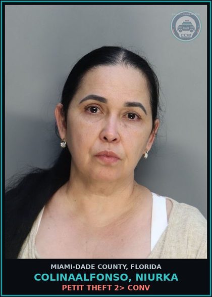 CCW arrest card for COLINAALFONSO, NIURKA in Miami-Dade County: PETIT THEFT 2> CONV