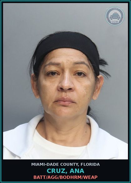 CCW arrest card for CRUZ, ANA in Miami-Dade County: BATT/AGG/BODHRM/WEAP