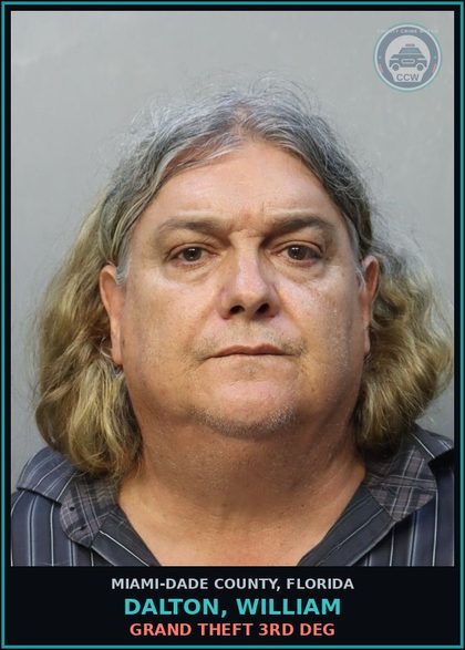 CCW arrest card for DALTON, WILLIAM in Miami-Dade County: GRAND THEFT 3RD DEG
