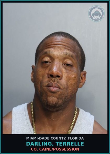 CCW arrest card for DARLING, TERRELLE in Miami-Dade County: GRD THEFT/3D/VEHICLE