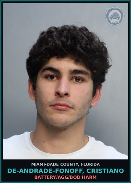 CCW arrest card for DE-ANDRADE-FONOFF, CRISTIANO in Miami-Dade County: BATTERY/AGG/BOD HARM