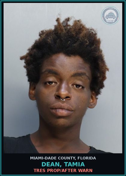 CCW arrest card for DEAN, TAMIA in Miami-Dade County: TRES PROP/AFTER WARN