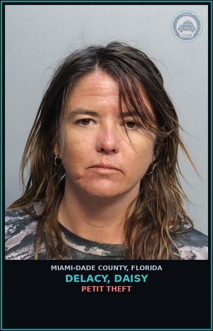 CCW arrest card for DELACY, DAISY in Miami-Dade County: PETIT THEFT