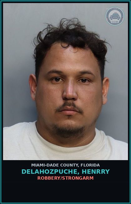 CCW arrest card for DELAHOZPUCHE, HENRRY in Miami-Dade County: ROBBERY/STRONGARM