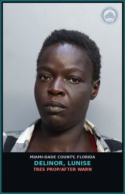 CCW arrest card for DELINOR, LUNISE in Miami-Dade County: TRES PROP/AFTER WARN