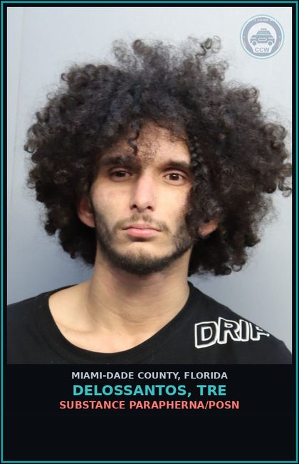 CCW arrest card for DELOSSANTOS, TRE in Miami-Dade County: DRUG PARAPHERNA/POSN