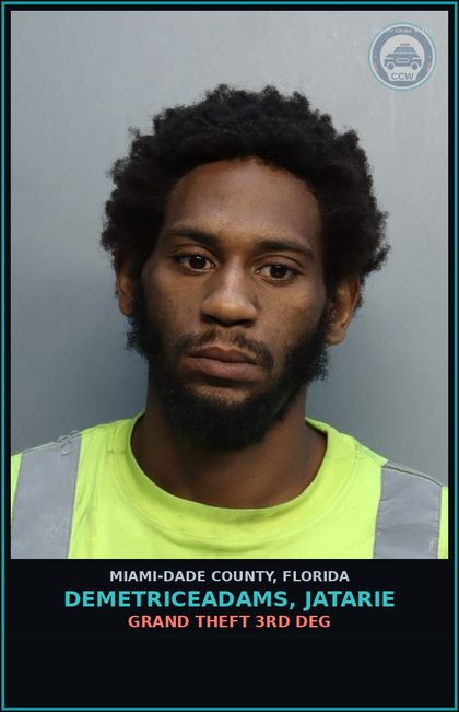 CCW arrest card for DEMETRICEADAMS, JATARIE in Miami-Dade County: GRAND THEFT 3RD DEG