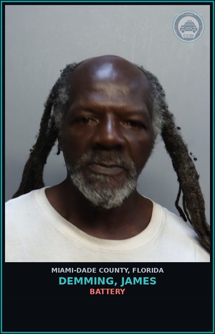 CCW arrest card for DEMMING, JAMES in Miami-Dade County: CRIM MIS/1000+