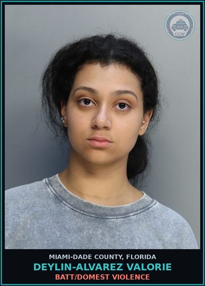 CCW arrest card for DEYLIN-ALVAREZ VALORIE in Miami-Dade County: BATT/DOMEST VIOLENCE
