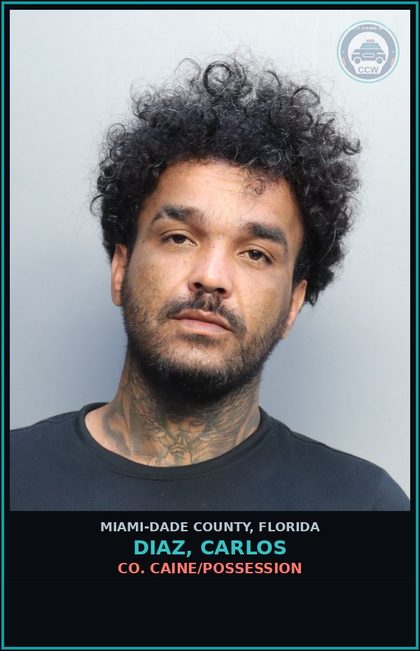CCW arrest card for DIAZ, CARLOS in Miami-Dade County: COCAINE/POSSESSION