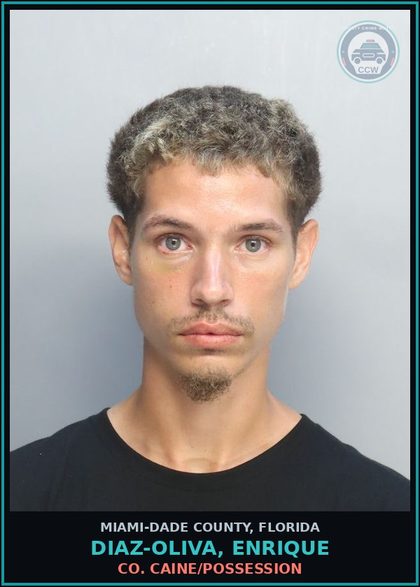 CCW arrest card for DIAZ-OLIVA, ENRIQUE in Miami-Dade County: COCAINE/POSSESSION