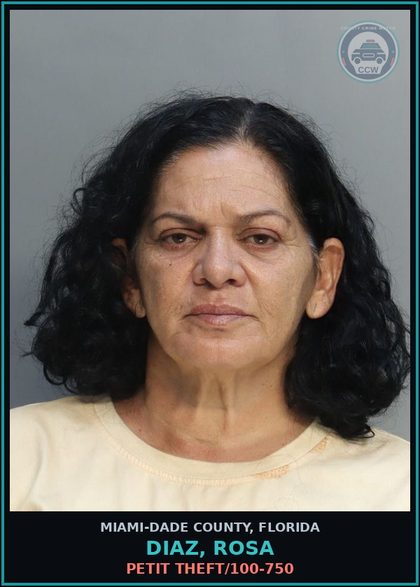 CCW arrest card for DIAZ, ROSA in Miami-Dade County: PETIT THEFT/100-750