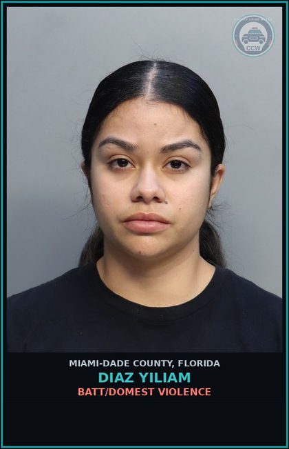 CCW arrest card for DIAZ YILIAM in Miami-Dade County: BATT/DOMEST VIOLENCE