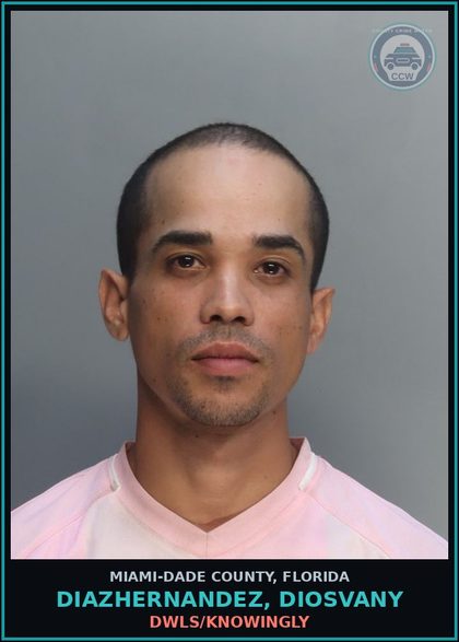 CCW arrest card for DIAZHERNANDEZ, DIOSVANY in Miami-Dade County: DWLS/KNOWINGLY