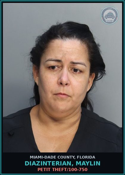 CCW arrest card for DIAZINTERIAN, MAYLIN in Miami-Dade County: PETIT THEFT/100-750