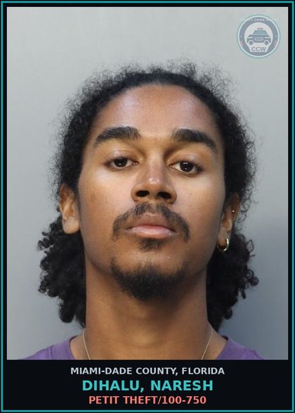 CCW arrest card for DIHALU, NARESH in Miami-Dade County: PETIT THEFT/100-750