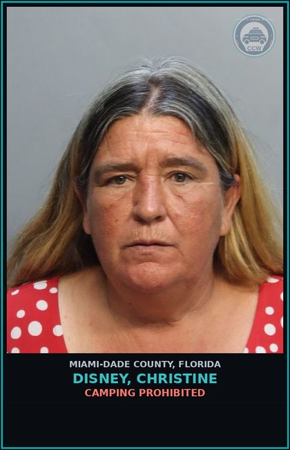 CCW arrest card for DISNEY, CHRISTINE in Miami-Dade County: CAMPING PROHIBITED