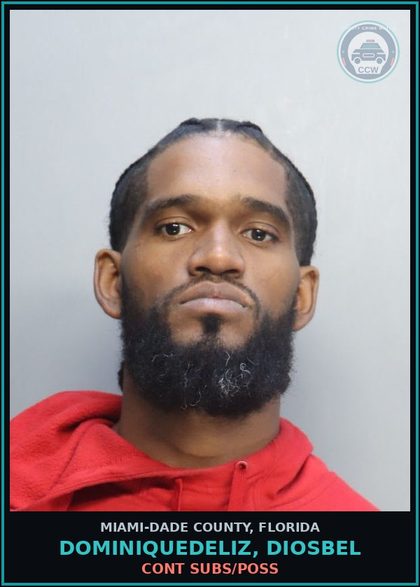 CCW arrest card for DOMINIQUEDELIZ, DIOSBEL in Miami-Dade County: CONT SUBS/POSS