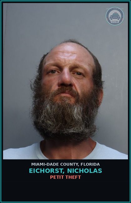 CCW arrest card for EICHORST, NICHOLAS in Miami-Dade County: PETIT THEFT