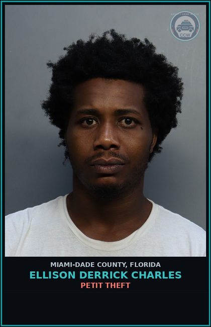 CCW arrest card for ELLISON DERRICK  CHARLES in Miami-Dade County: PETIT THEFT