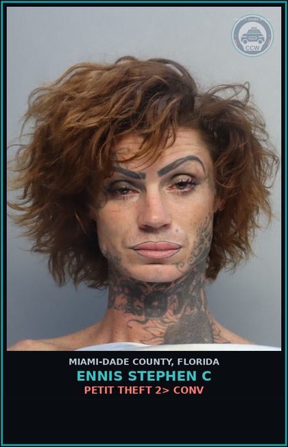 CCW arrest card for ENNIS STEPHEN  C in Miami-Dade County, Florida: PETIT THEFT 2> CONV