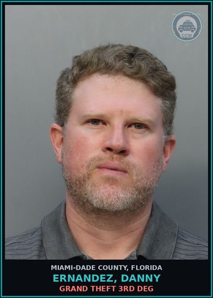 CCW arrest card for ERNANDEZ, DANNY in Miami-Dade County: GRAND THEFT 3RD DEG
