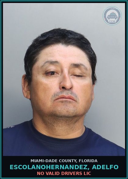 CCW arrest card for ESCOLANOHERNANDEZ, ADELFO in Miami-Dade County: NO VALID DRIVERS LIC