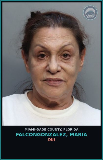 CCW arrest card for FALCONGONZALEZ, MARIA in Miami-Dade County: DUI