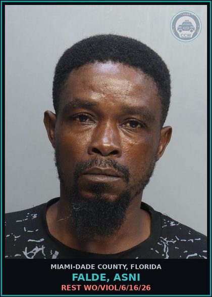 CCW arrest card for FALDE, ASNI in Miami-Dade County: REST WO/VIOL/6/16/26