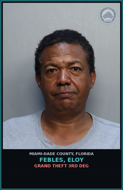 CCW arrest card for FEBLES, ELOY in Miami-Dade County: GRAND THEFT 3RD DEG