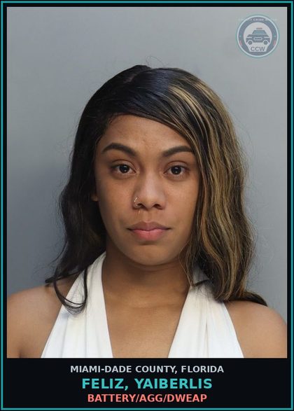 CCW arrest card for FELIZ, YAIBERLIS in Miami-Dade County: BATTERY/AGG/DWEAP