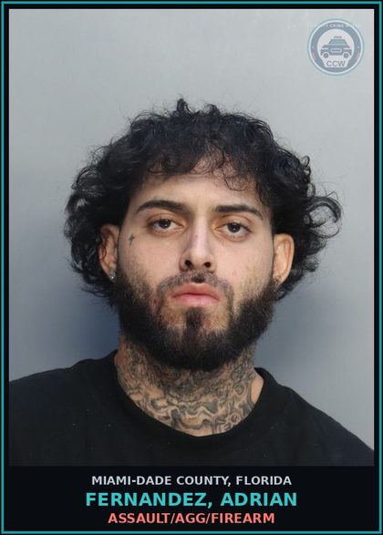 CCW arrest card for FERNANDEZ, ADRIAN in Miami-Dade County: ASSAULT/AGG/FIREARM