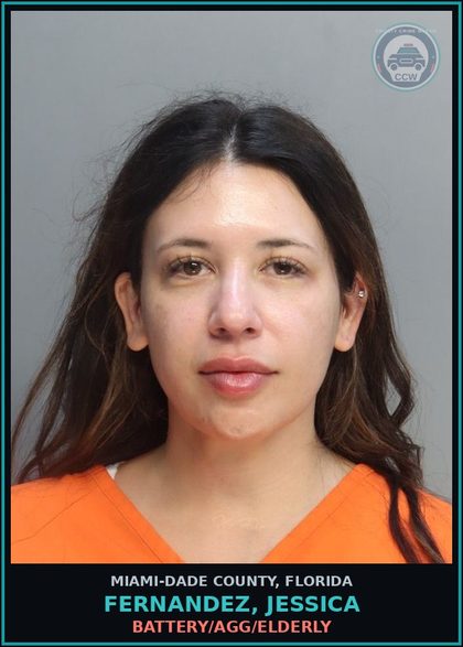 CCW arrest card for FERNANDEZ, JESSICA in Miami-Dade County: BATTERY/AGG/ELDERLY