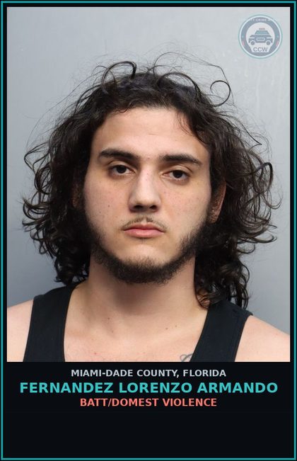 CCW arrest card for FERNANDEZ LORENZO  ARMANDO in Miami-Dade County: BATT/DOMEST VIOLENCE