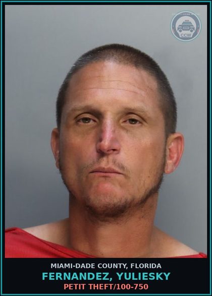 CCW arrest card for FERNANDEZ, YULIESKY in Miami-Dade County: PETIT THEFT/100-750