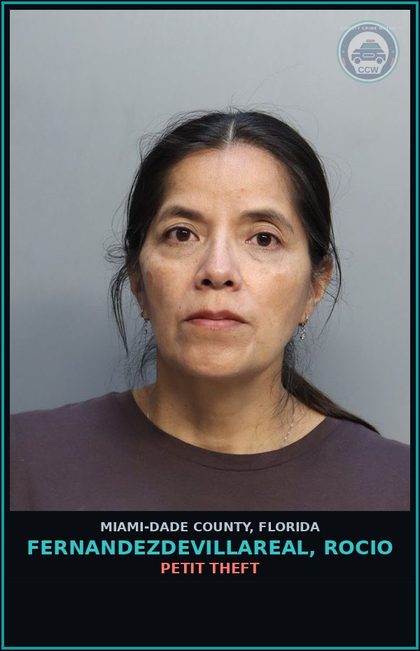 CCW arrest card for FERNANDEZDEVILLAREAL, ROCIO in Miami-Dade County: PETIT THEFT