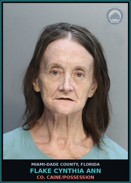 CCW arrest card for FLAKE CYNTHIA  ANN in Miami-Dade County: Co. Caine/POSSESSION
