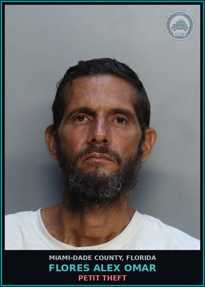 CCW arrest card for FLORES ALEX  OMAR in Miami-Dade County: PETIT THEFT
