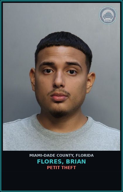 CCW arrest card for FLORES, BRIAN in Miami-Dade County: PETIT THEFT