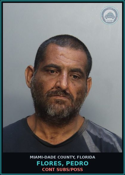 CCW arrest card for FLORES, PEDRO in Miami-Dade County: CONT SUBS/POSS