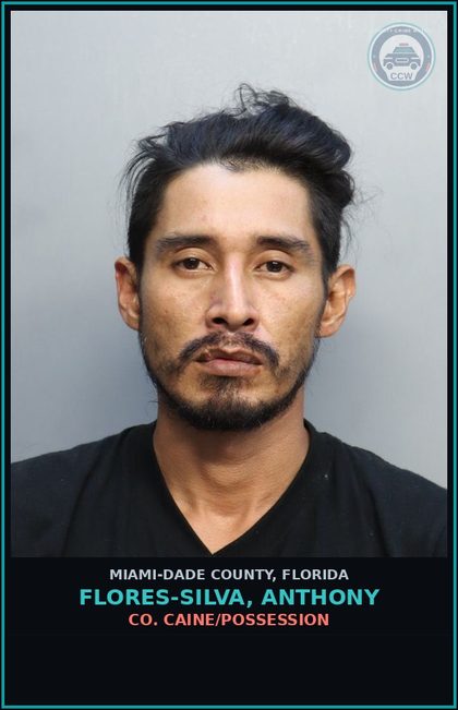CCW arrest card for FLORES-SILVA, ANTHONY in Miami-Dade County: COCAINE/SELL/SCHOOL