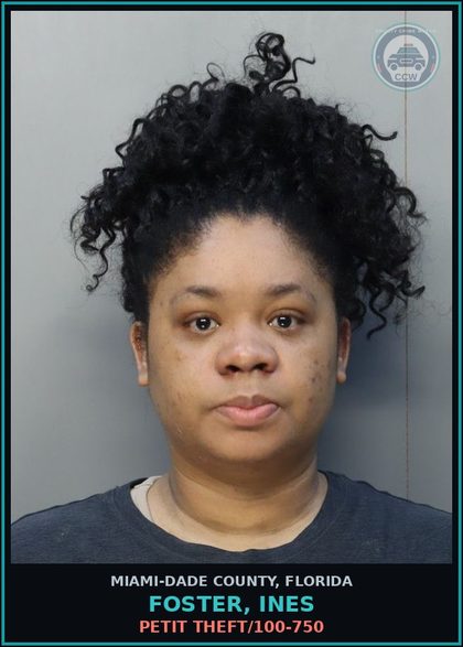 CCW arrest card for FOSTER, INES in Miami-Dade County: PETIT THEFT/100-750