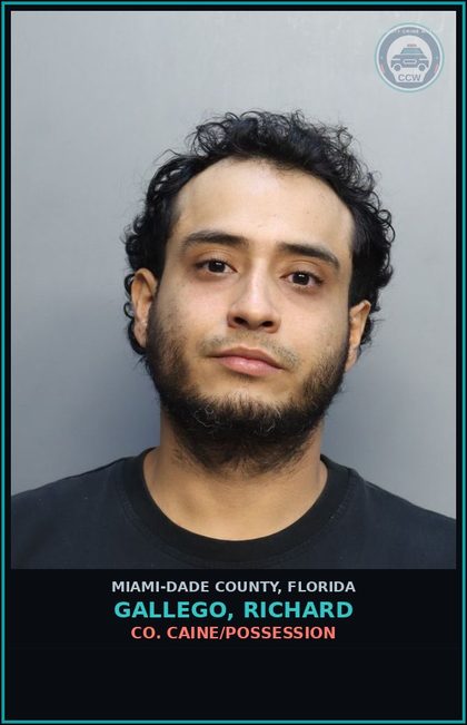 CCW arrest card for GALLEGO, RICHARD in Miami-Dade County: COCAINE/POSSESSION