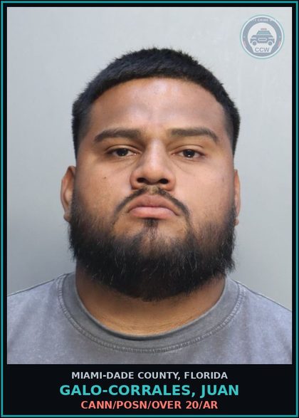 CCW arrest card for GALO-CORRALES, JUAN in Miami-Dade County: CANN/POSN/OVER 20/AR