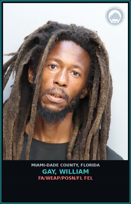 CCW arrest card for GAY, WILLIAM in Miami-Dade County: FA/WEAP/POSN/FL FEL