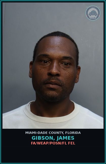 CCW arrest card for GIBSON, JAMES in Miami-Dade County: FA/WEAP/POSN/FL FEL