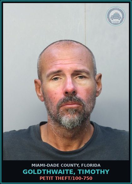 CCW arrest card for GOLDTHWAITE, TIMOTHY in Miami-Dade County: CAMPING PROHIBITED